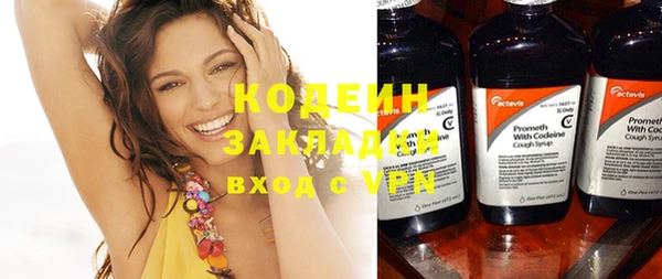 прущие грибы Нягань