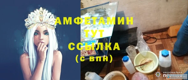 прущие грибы Нягань