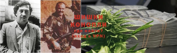 прущие грибы Нягань