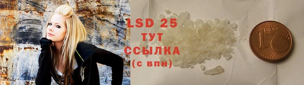 прущие грибы Нягань