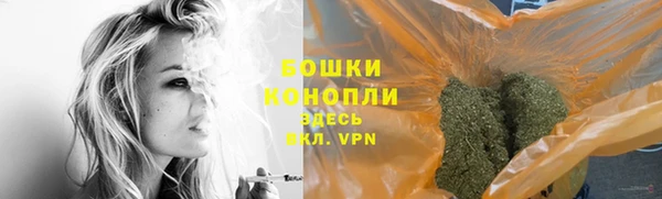 СК Няндома
