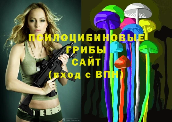 СК Няндома
