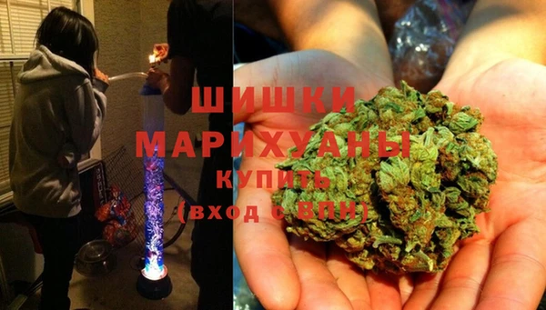 прущие грибы Нягань