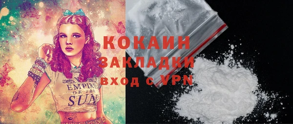 СК Няндома