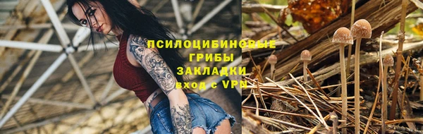 прущие грибы Нягань