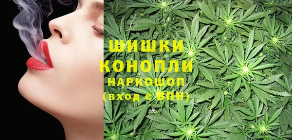 СК Няндома